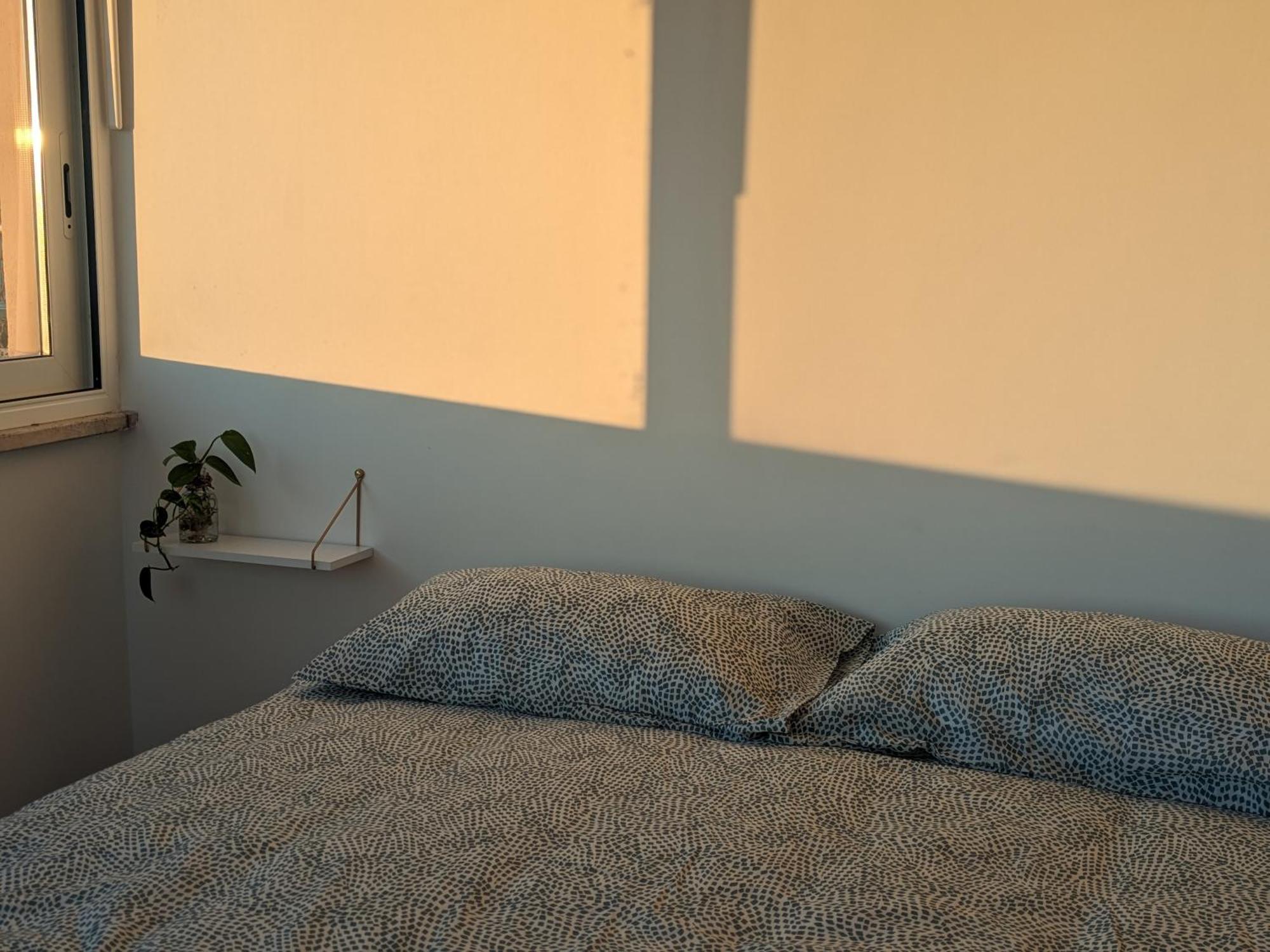 Casetta Sole, Superattico Con Terrazzo Vicino San Pietro, New ローマ エクステリア 写真